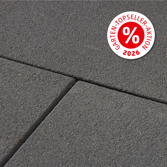 rinnit-platten-topseller