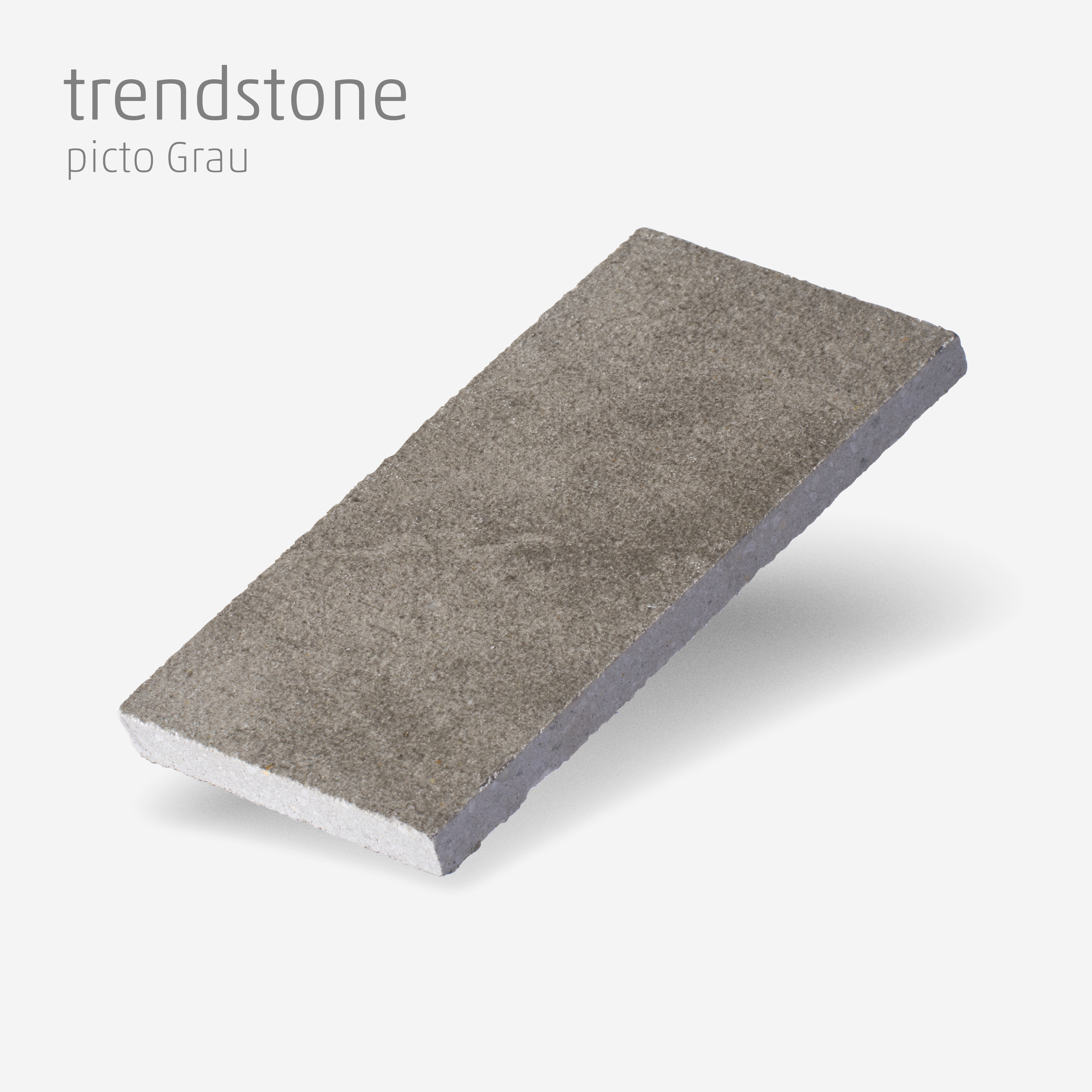 Muster trendstone picto Grau