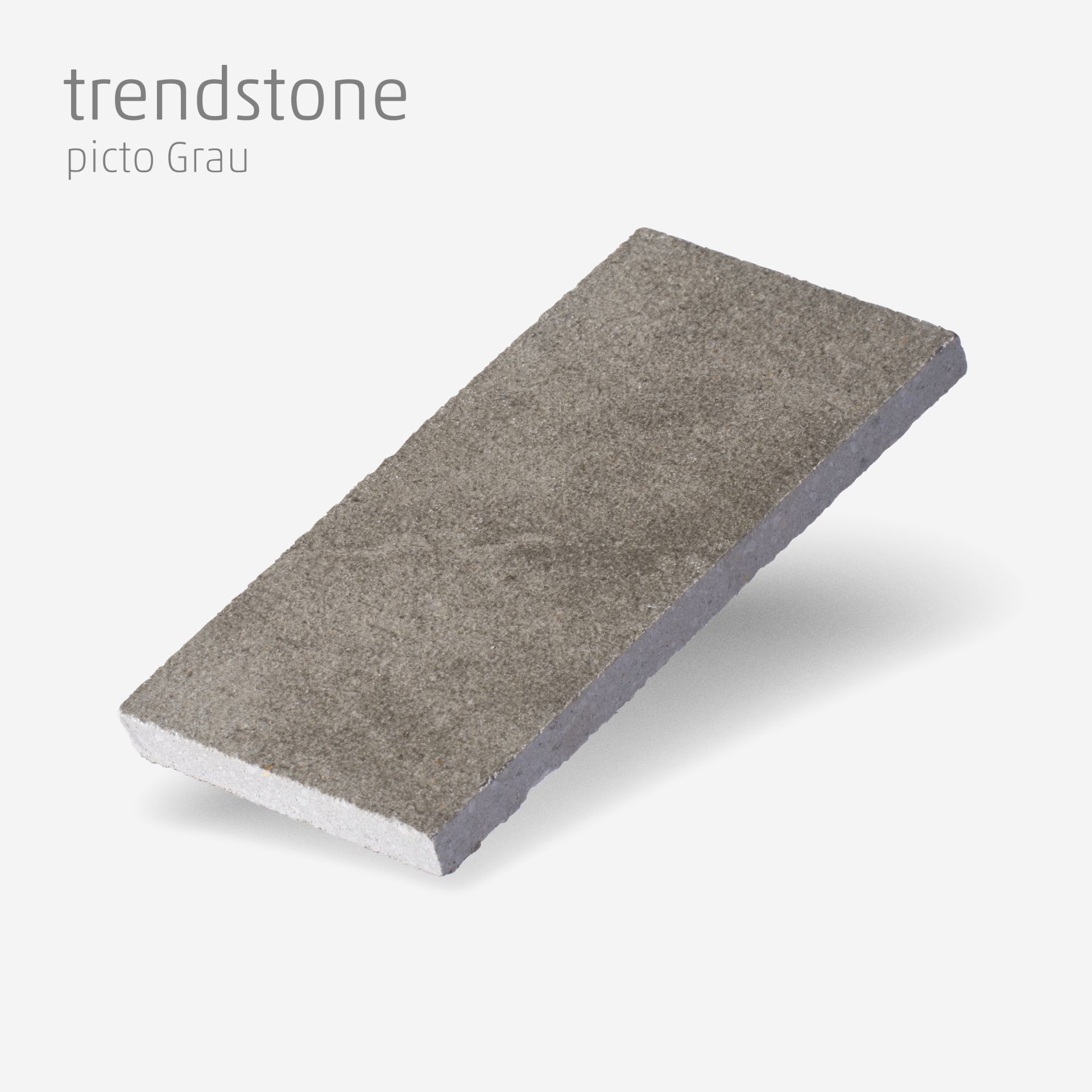 Muster trendstone picto Grau | Rinn-Shop